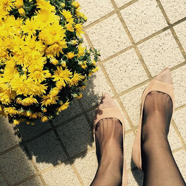 実家に花を飾りたくて、ちょっと帰省。秋らしいスエードとハラコのコンビパンプスでおとなしめに。#DIANA#本日の足元チラ#靴磨き女子部#靴磨き女子部ピンクレンジャー#スエード#スエードパンプス #コンビ#田舎暮らし
